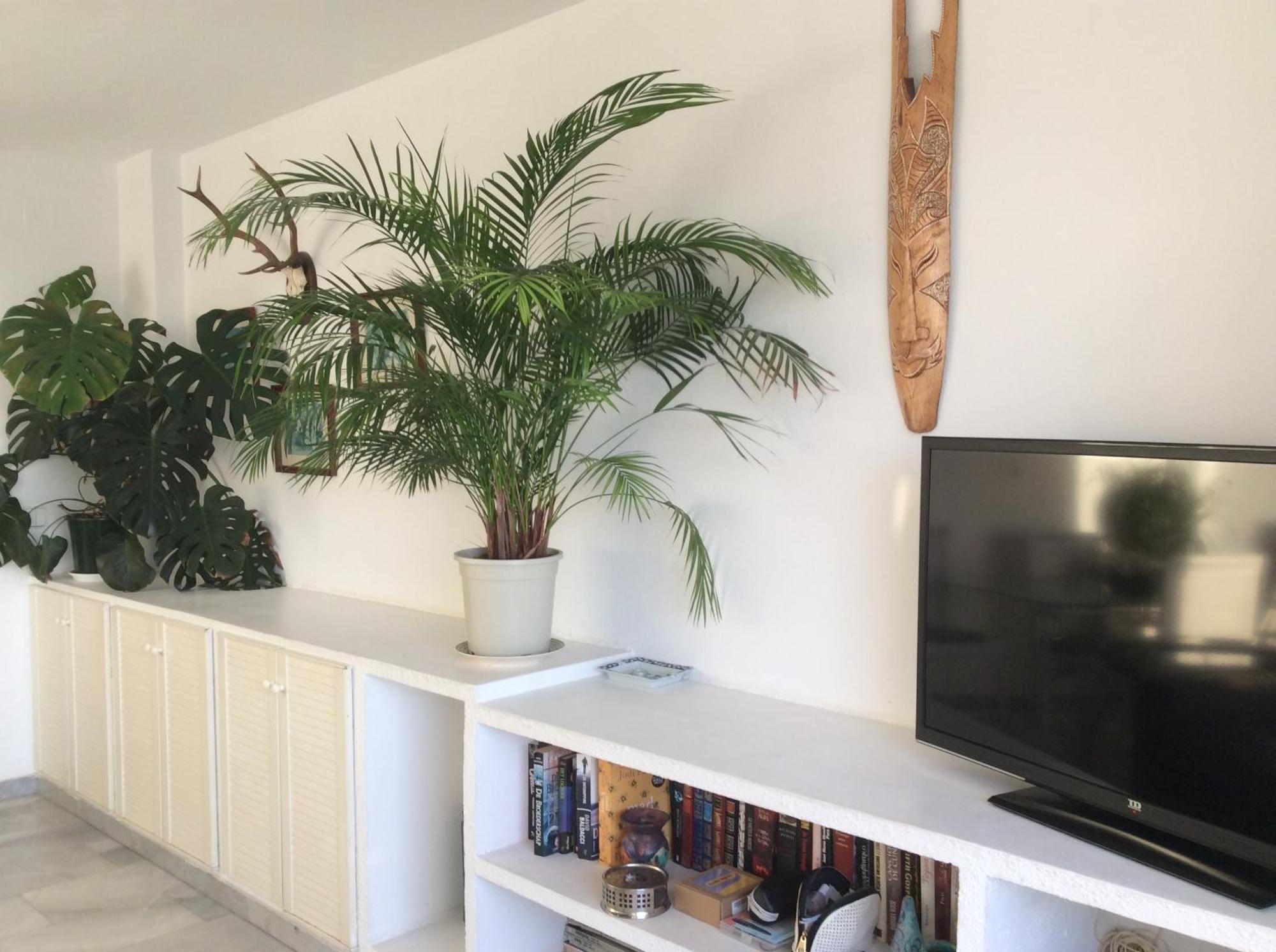 Apartment Tres Carabelas Torremolinos